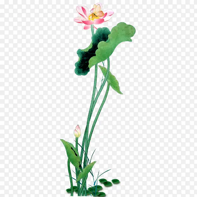 ��-�ɻ�ˮ�ʺɻ�-������