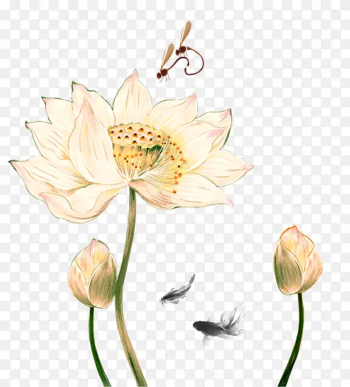 ˮ�ʺɻ� ���� ��-������