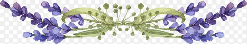 ޹�²�-������