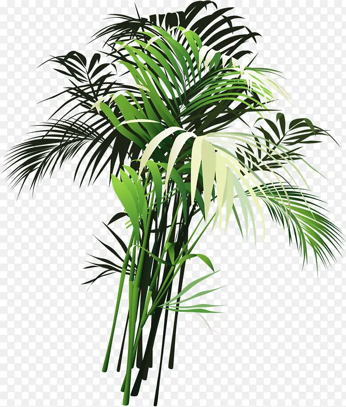 �ֻ�ֲ��-������