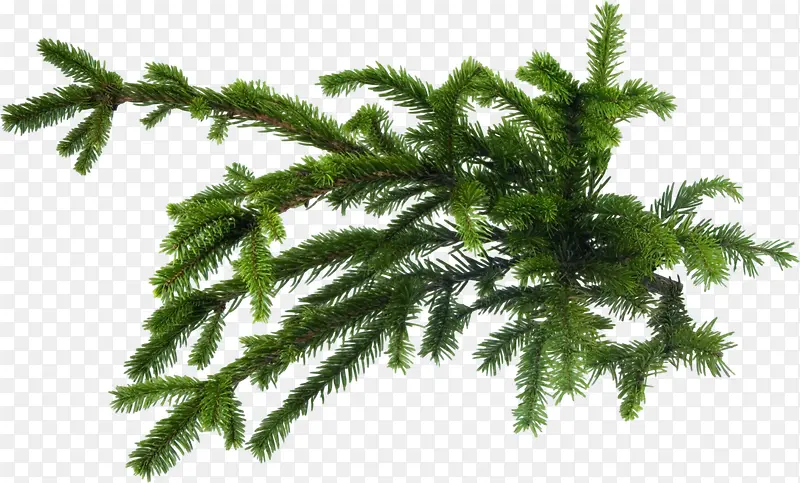 ������֦����֦-������