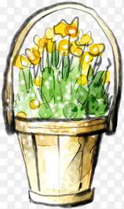 ���ֻ�ˮ��Ψ��ֲ��-������