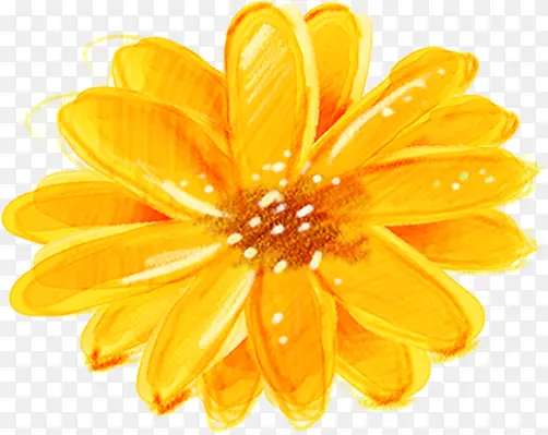 ˮ�����տ��Ļ���-������