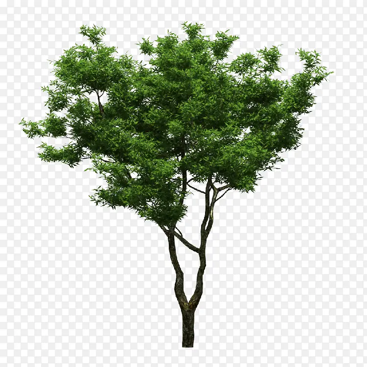 ����png�ز�-������