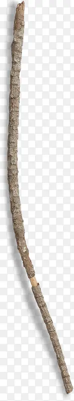 �ɿݵ���֦-������