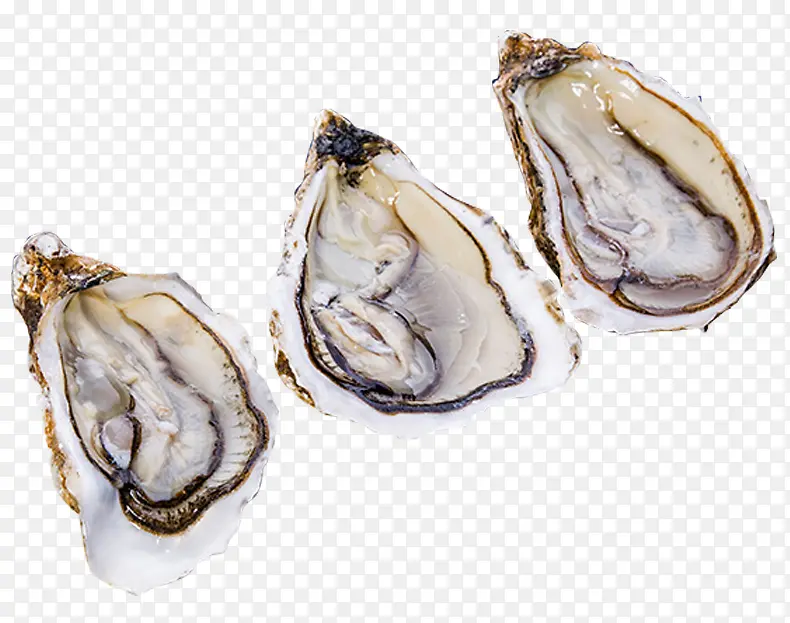 �������-������