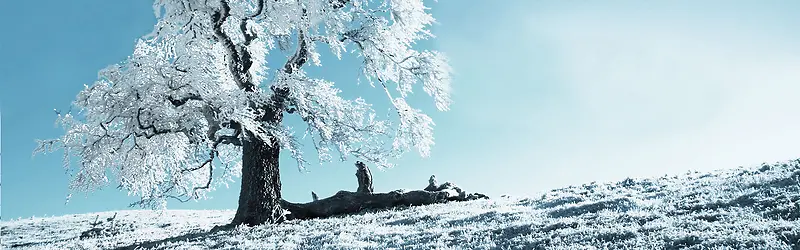 ����-������