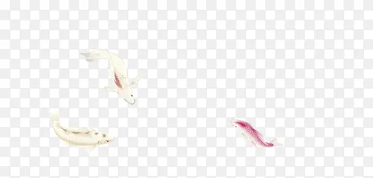 ��ɫ����-������