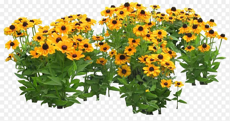 ���տ�png�ز�-������