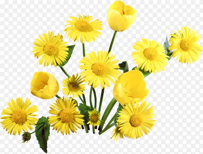 ���տ�png�ز�-������