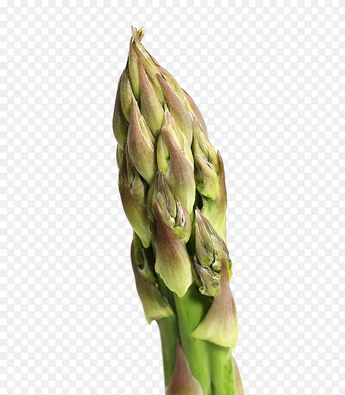 ��ζ�߲����-������