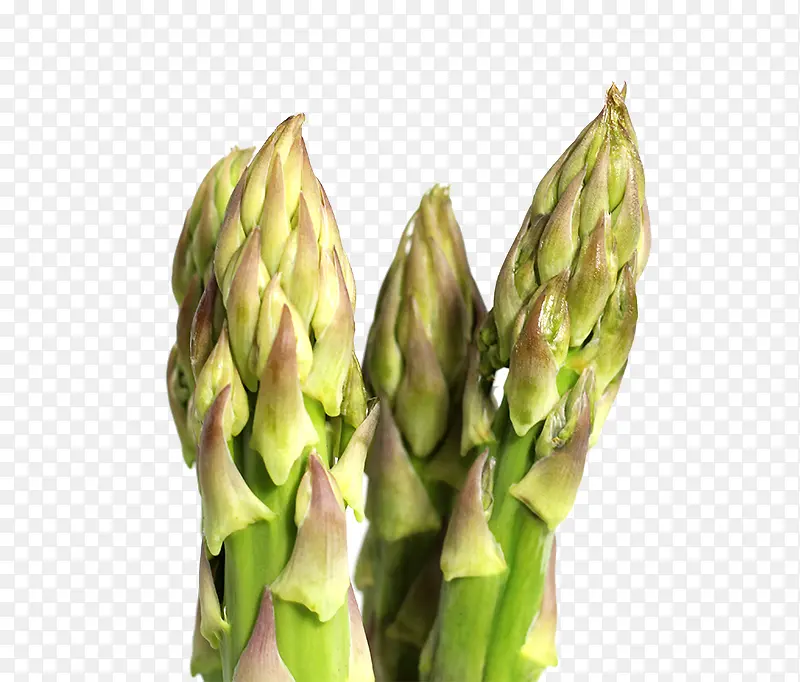 ��ζ�߲����-������