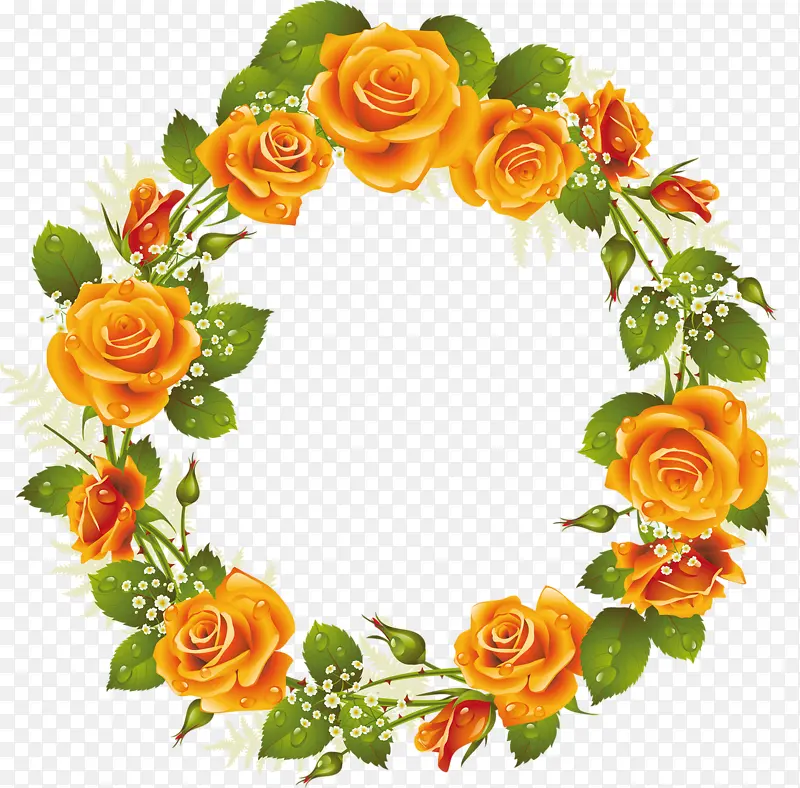 ��ɫ����Բ��-������