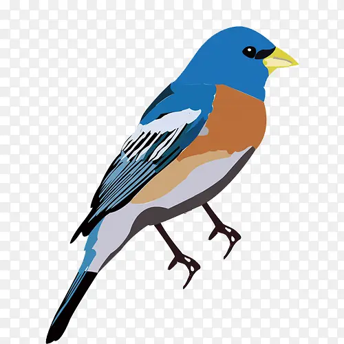 С������С��ɰ�-������