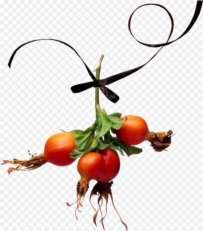 ��ɫ ��ֲ �߲�-������