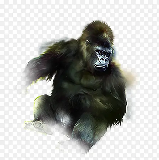 �ֻ����ɶ��ﴴ��-������