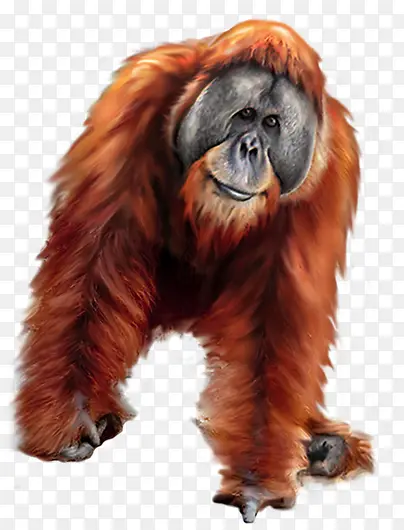 �����ֻ涯�ﴴ��-������