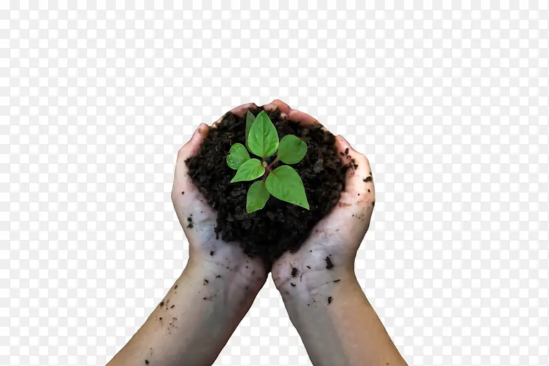 ��������һ����-������