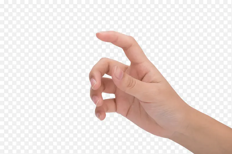 ��ץ�����ְ�͸����-������