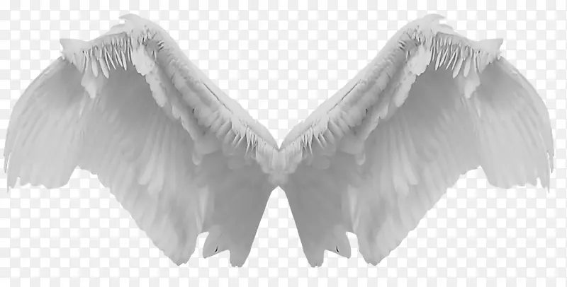 ��ɫ������ɫ��Ӱ-���-������