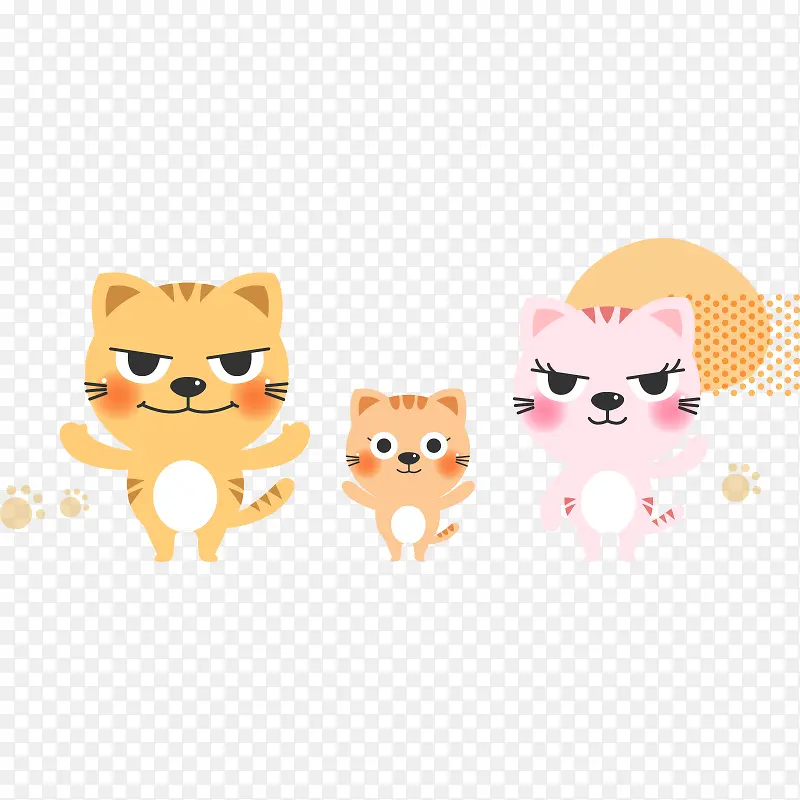 ��ͨ���� ����-������