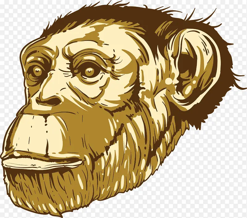 ʸ����ͨ����-������