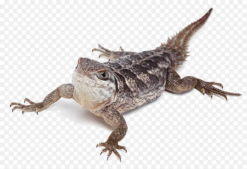 ��������-������