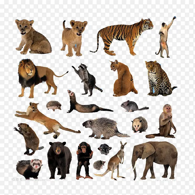 ��������-������