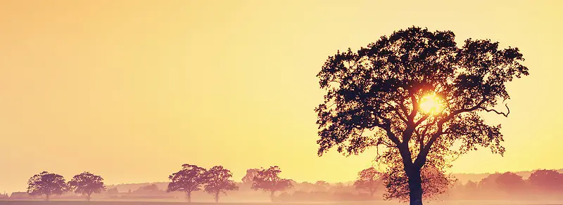 �ƻ�Ĵ���-������