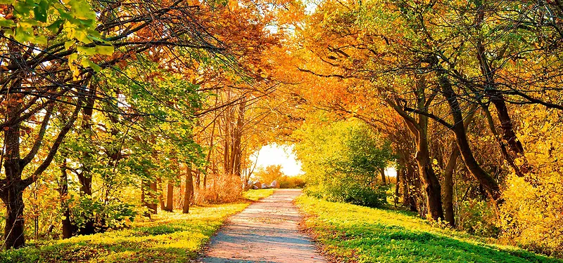 ������Ӱ����-������