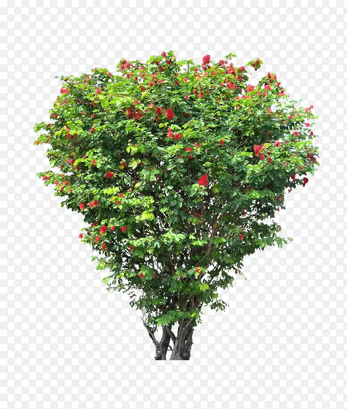 ��-������