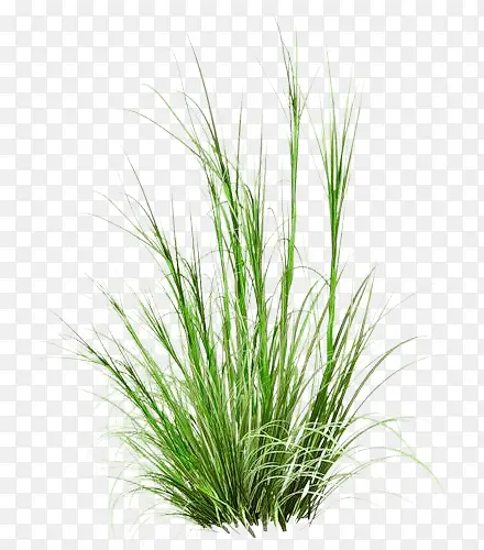 �̲ݲ�ƺװ��-������