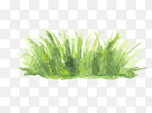 ˮ��ֲ��-������