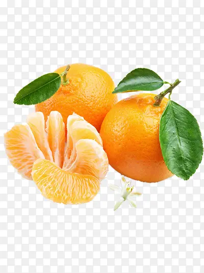 ����-������