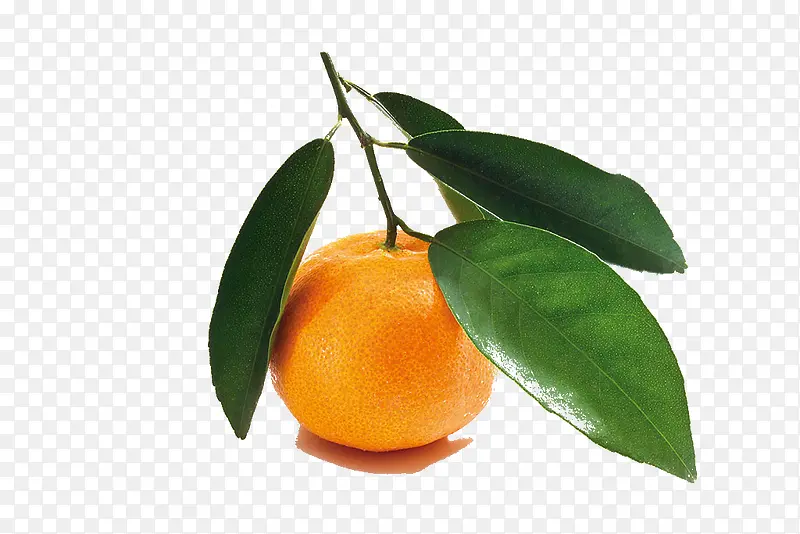 ����-������