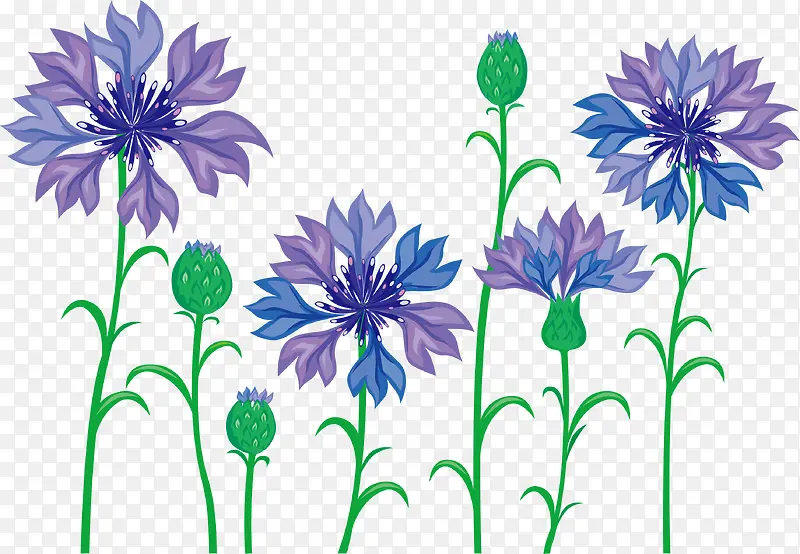 ޹�²��ֻ����-������