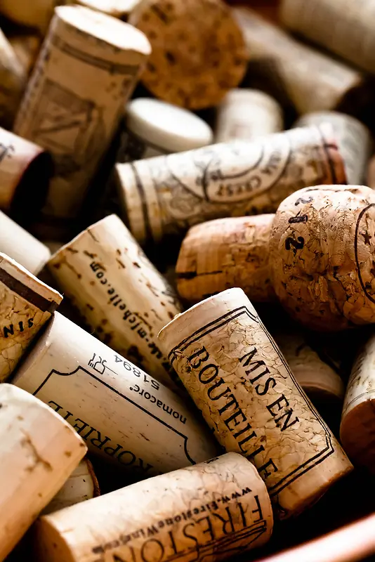 ���ƴ�������ʳ��-������