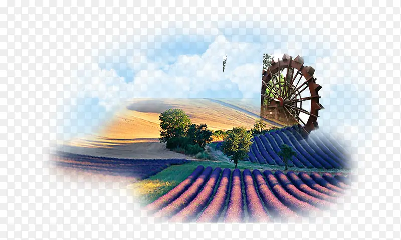 ޹�²���-������