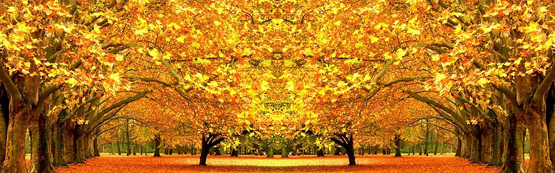 �Ա�����-������