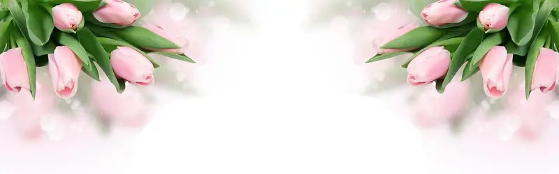 �Ա�����-������