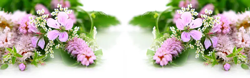 �Ա�����-������