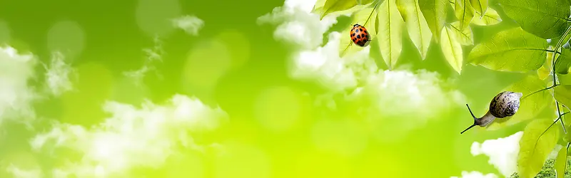 �Ա�����-������