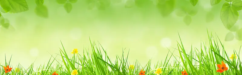 �Ա����ⱳ��-������