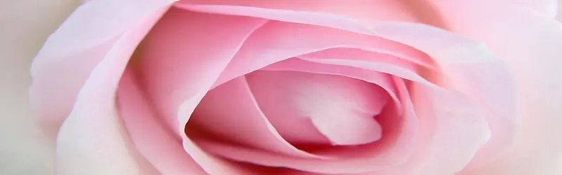 �Ա�����-������