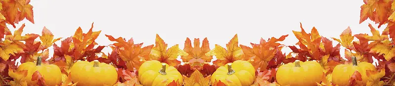 �Ա�����-������