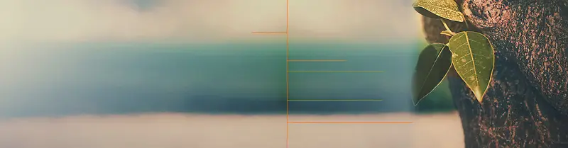 �Ա�����-������