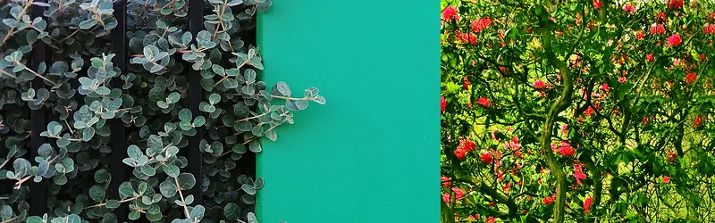 �Ա�����-������