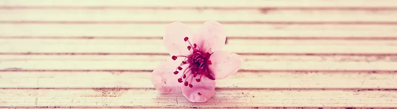 �Ա�����-������