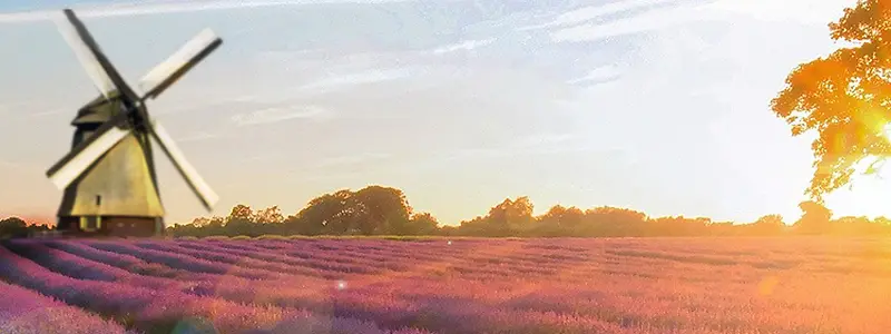 �Ա�����-������