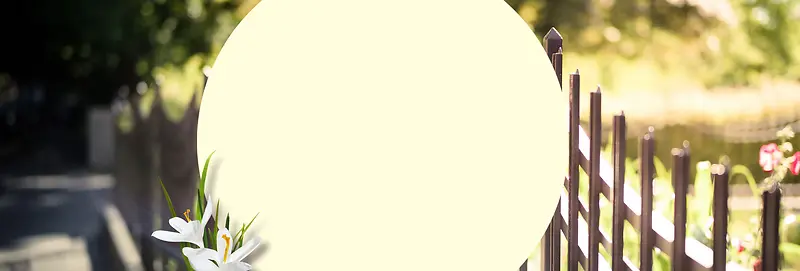 �Ա�����-������